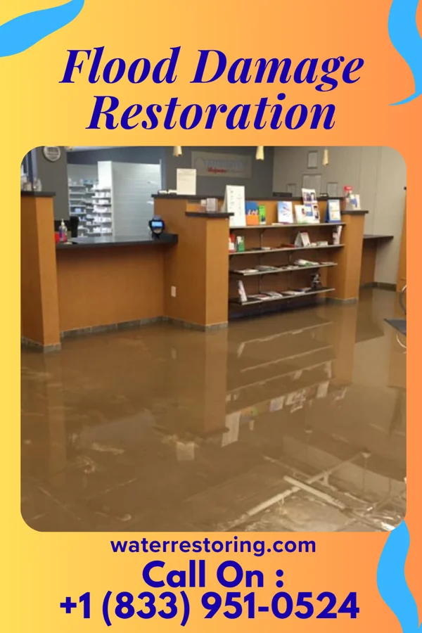 Flood Damage Restoration in Demorest, GA