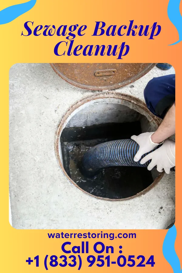 Sewage Backup Cleanup in Demorest, GA