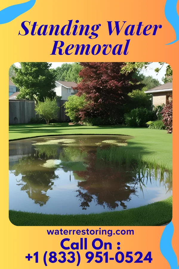 Standing Water Removal in Demorest, GA